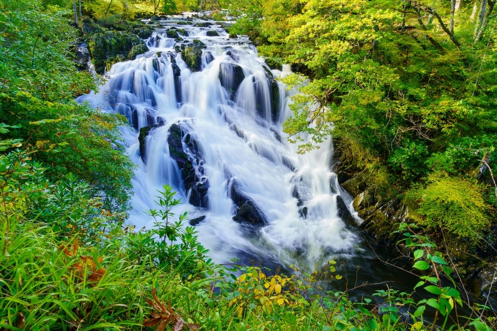 Hike the Swallow Falls canyon Trail / More Swallow Falls State Park Trails