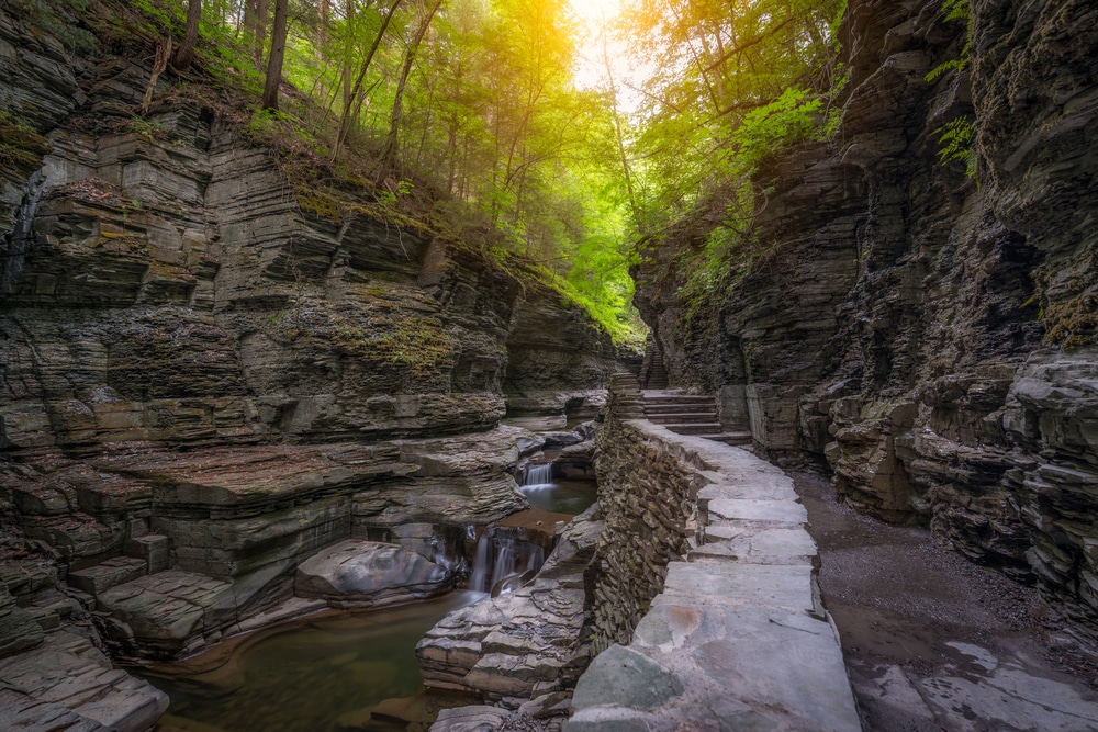 Why You Should Visit Watkins Glen State Park / More State Parks Near our Finger Lakes Bed and Breakfast
