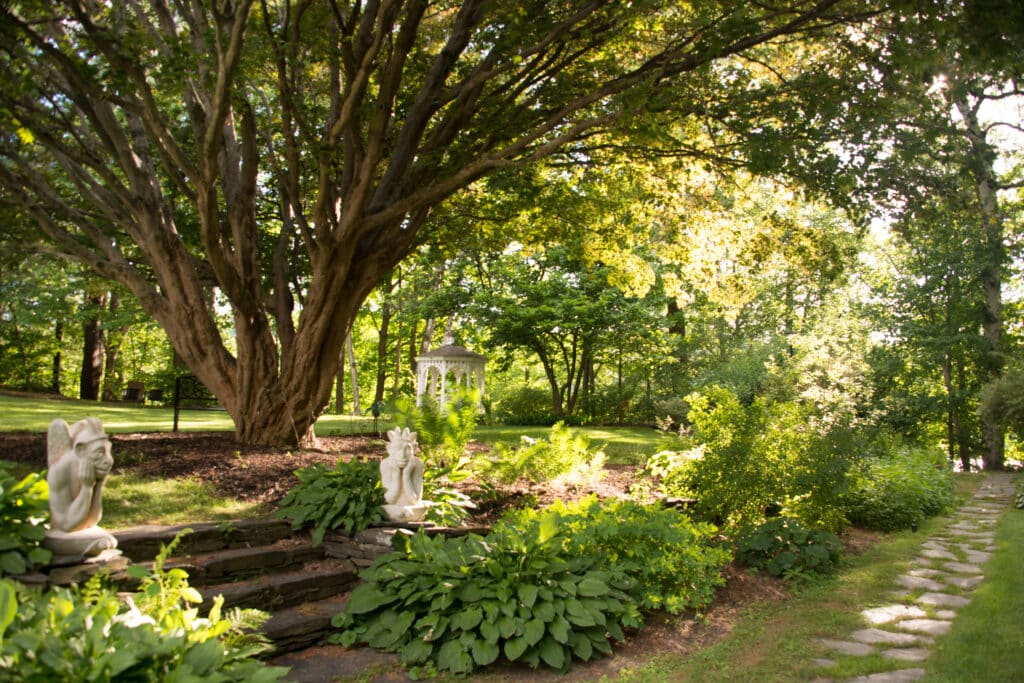 Take a walk on the Retreat Trails which connect to our property.