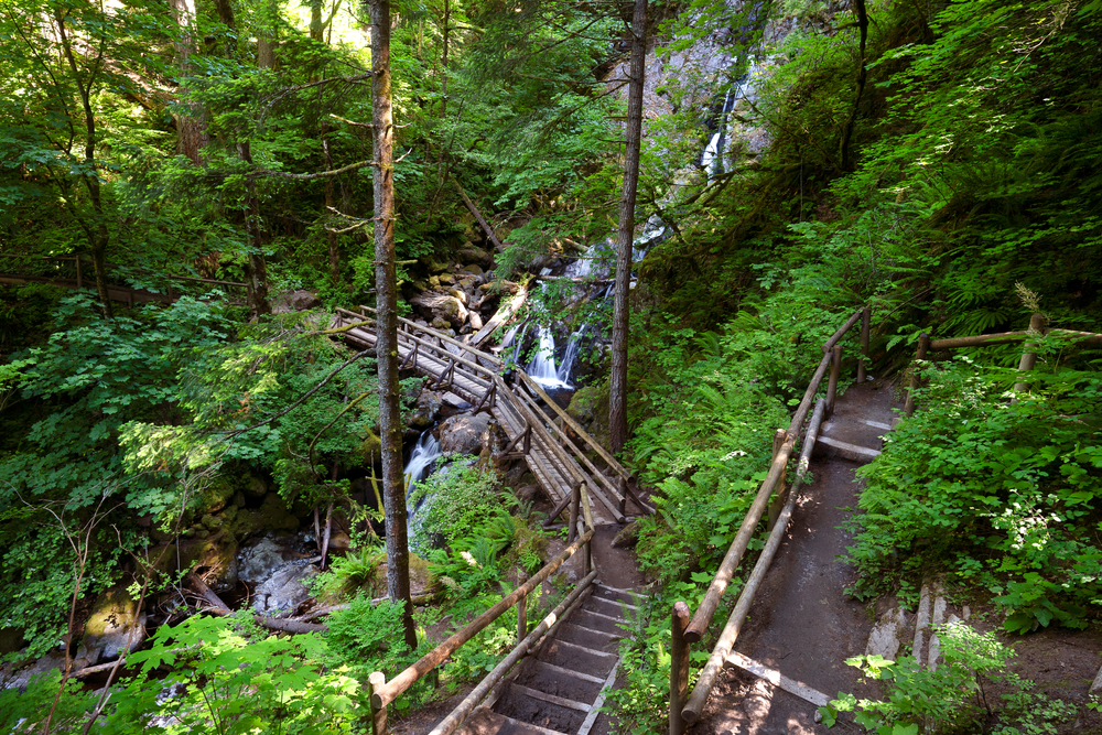 Beacon Rock State Park Hiking Trails