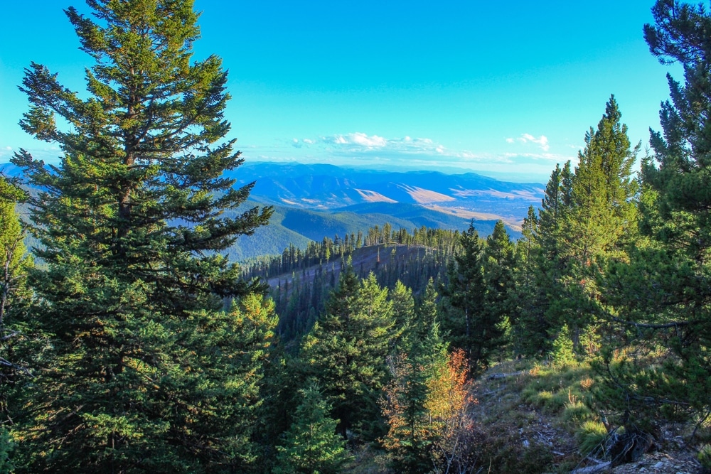 Gorgeous mountain views in Missoula, where you'll find some of the best hiking in Montana
