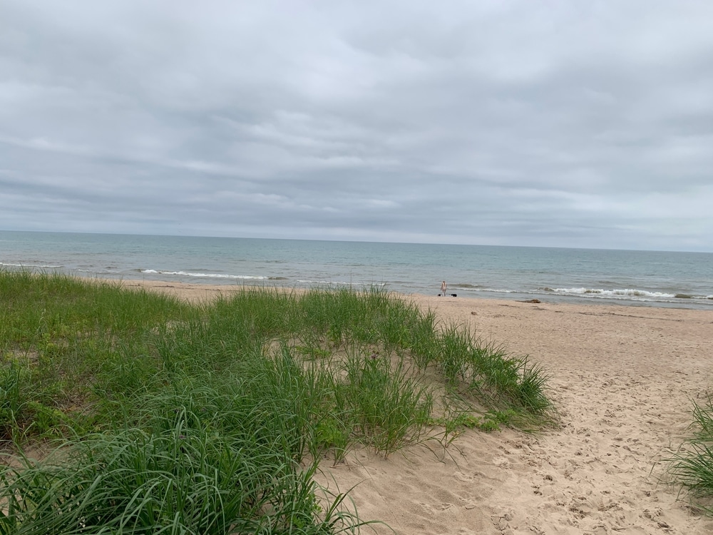 The sandy beach at Kohler-Andrae State Park in Wisconsin