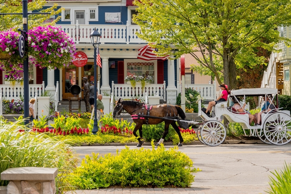 After riding the Bavarian Belle, take a horse drawn carriage ride down Main Street in Frankenmuth.