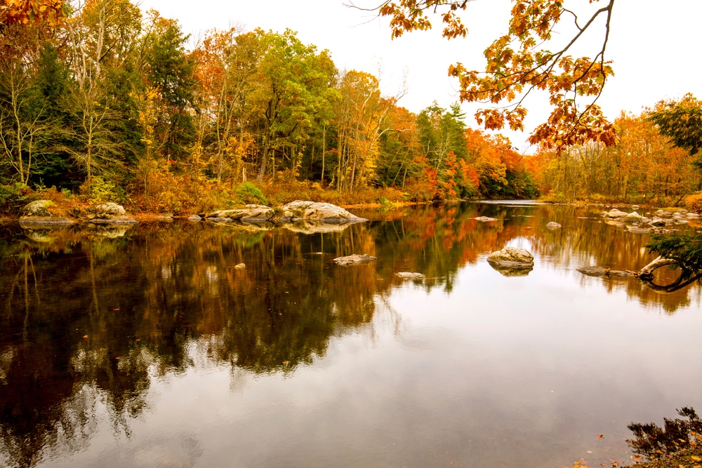 Bluff point state park in the fall