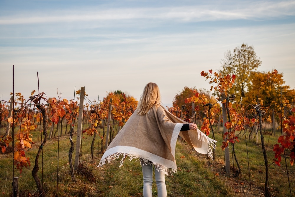 Seneca Lake Wineries for fall harvest in the Finger Lakes