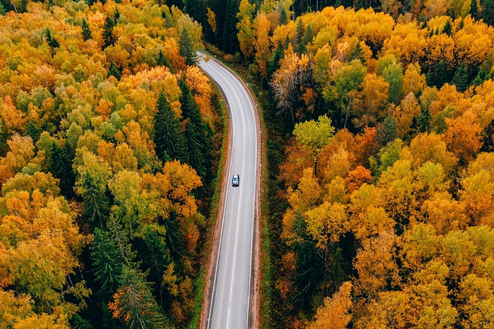 The Best Time to See Covered Bridges in Pennsylvania (Kidds Mill Bridge) / More Ways to Enjoy Pennsylvania Fall Foliage