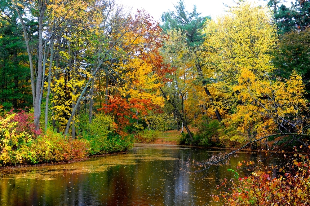 Dow Gardens in Midland is one of the best places to find fall colors in Michigan.
