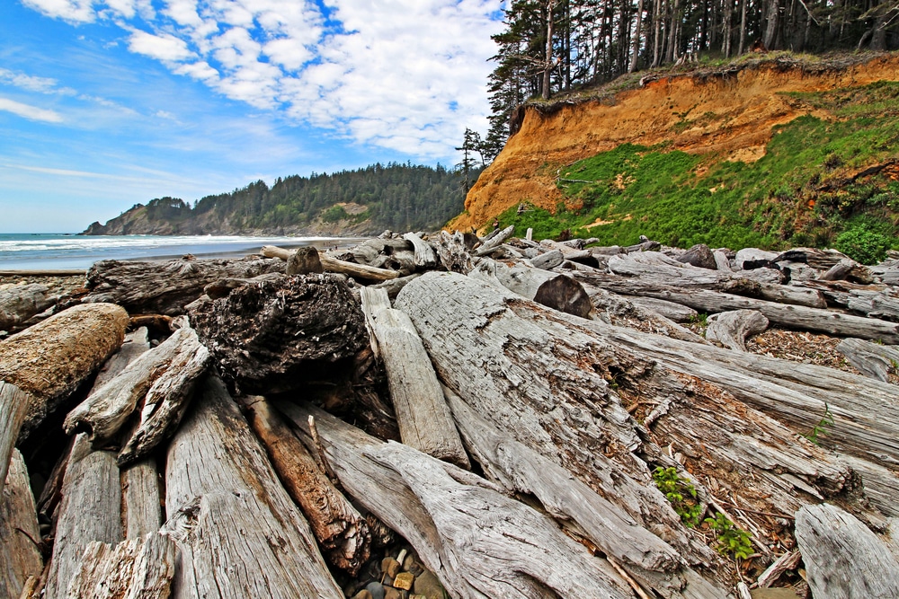 Oswald West State Park near our bed and breakfast on the Oregon Coast