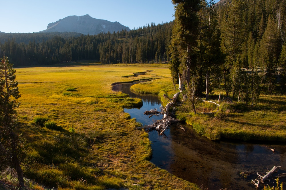 Meadow in Lassen Volcanic National Park