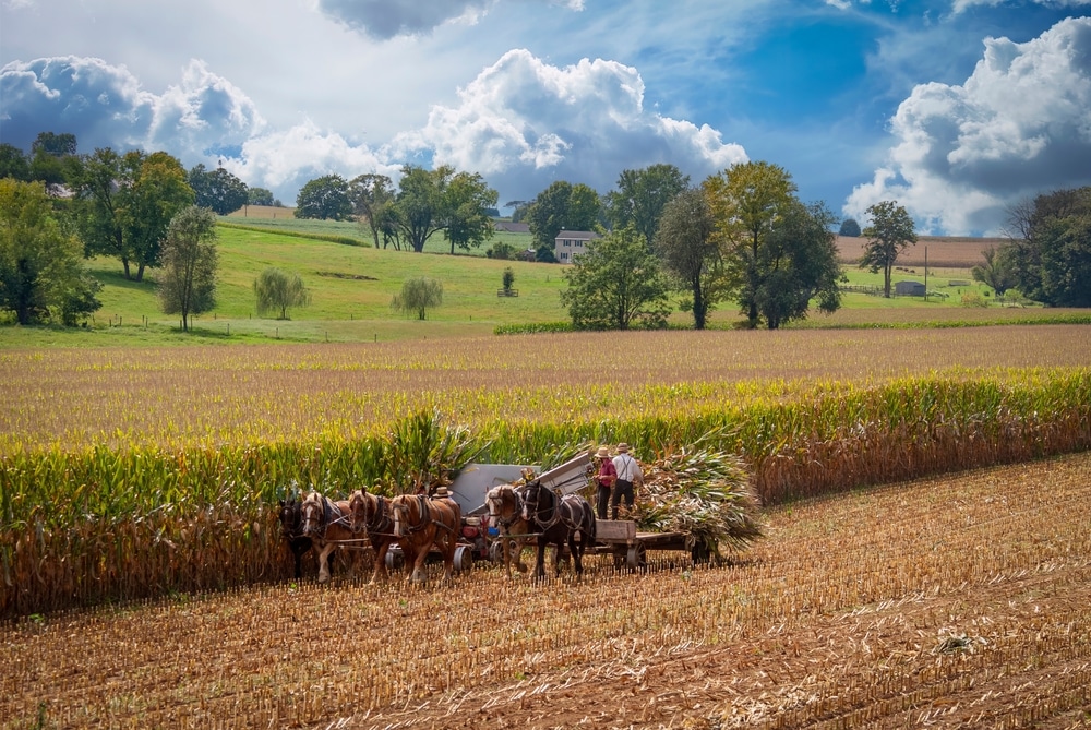 Scenic Drives in Pennsylvania: Amish Tours & Fall Colors/Plan Your Romantic Hotel Getaways, photo of a working amish farm
