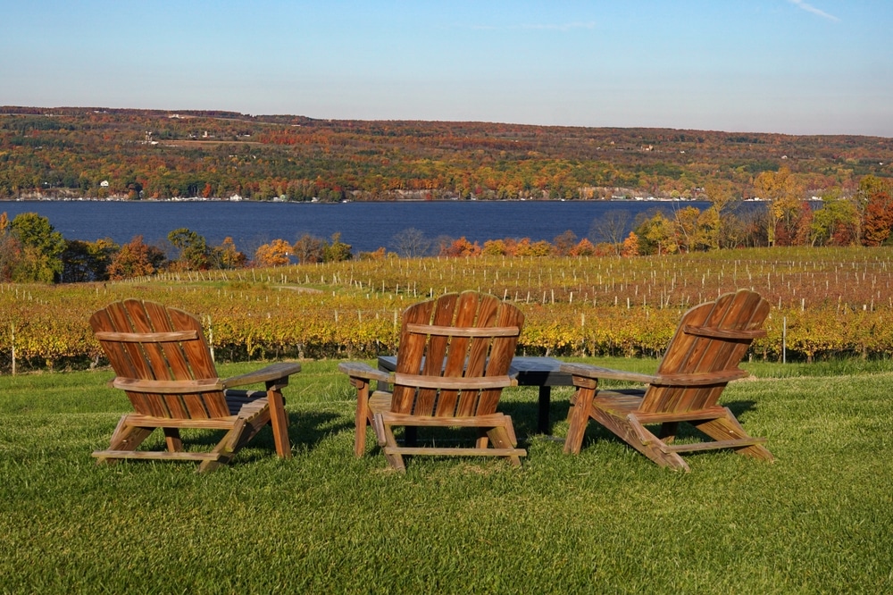 Empty Adirondack chairs at on of the best vineyards in the Finger Lakes with fall foliage.