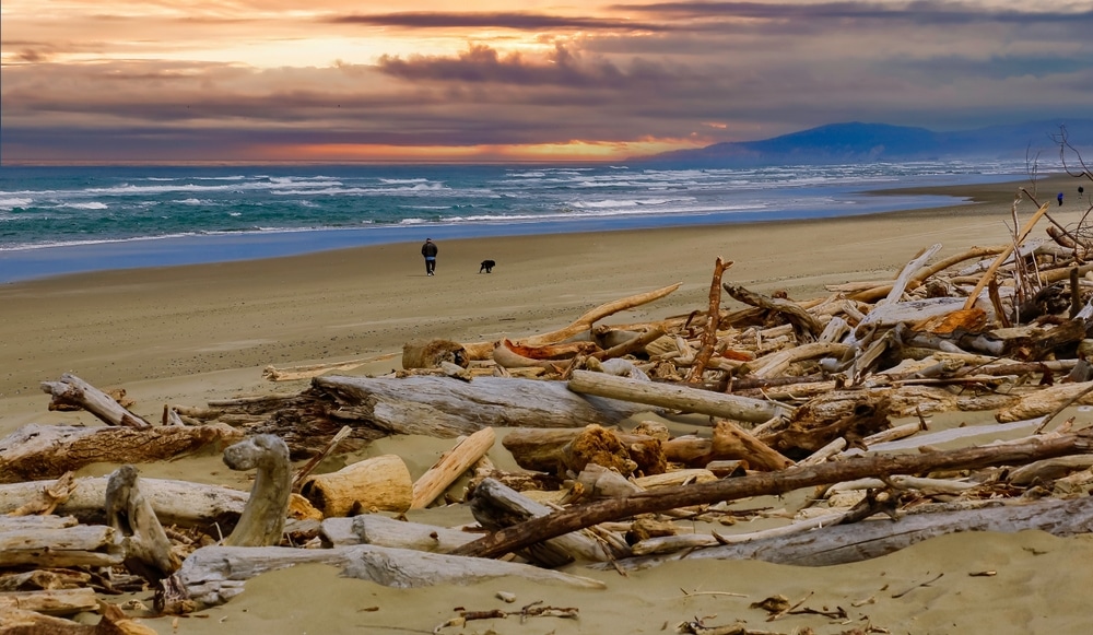 A man and his dog take a winter walk on Bandon Beach in South OR