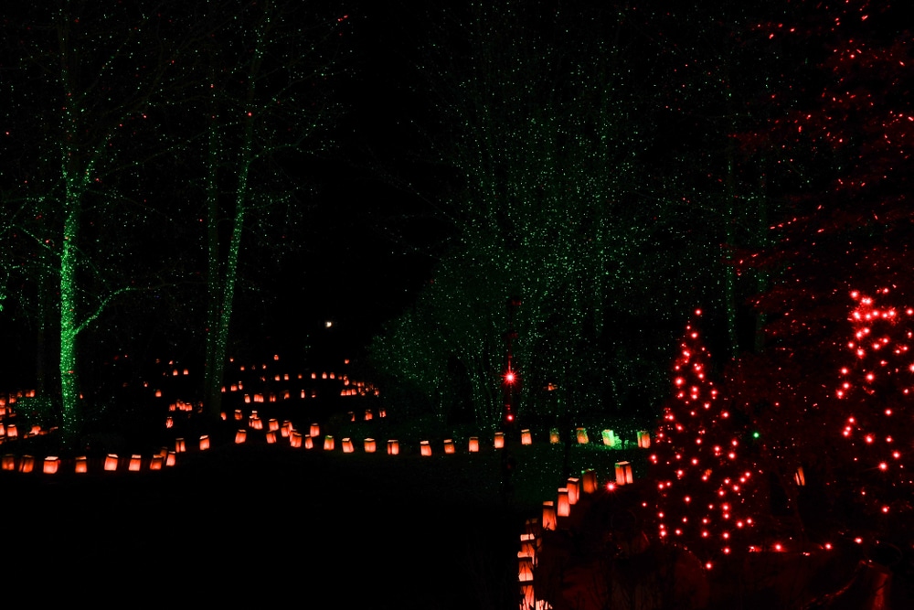 Visit the Santa Fe Botanical Garden GLOW in December. Walk through the lit up gardens and follow the farolitos to find your way!