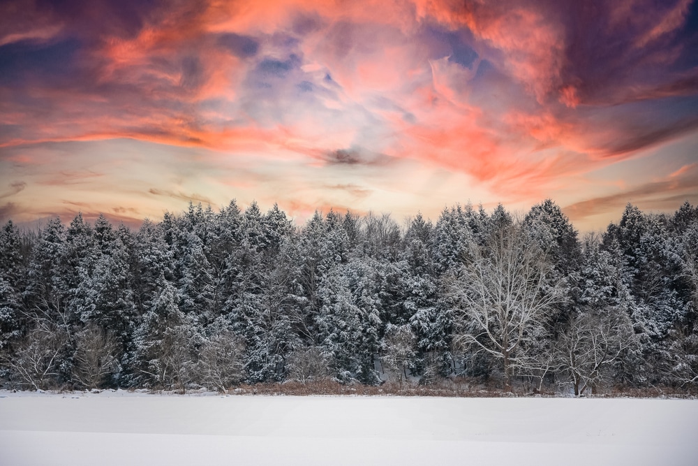 The Best Things to Do in New England this Winter, explore the snowy landscape