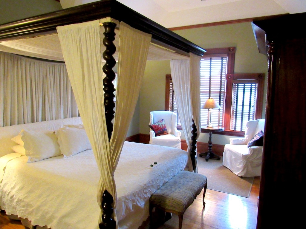 The Best Things to do in Redwood National Park/ Hotels Near Redwood National Park/Fern Canyon