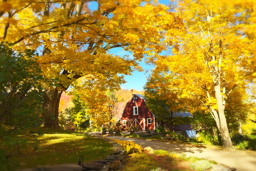Our Vermont Bed and Breakfast is one of the best places to see fall foliage in Vermont