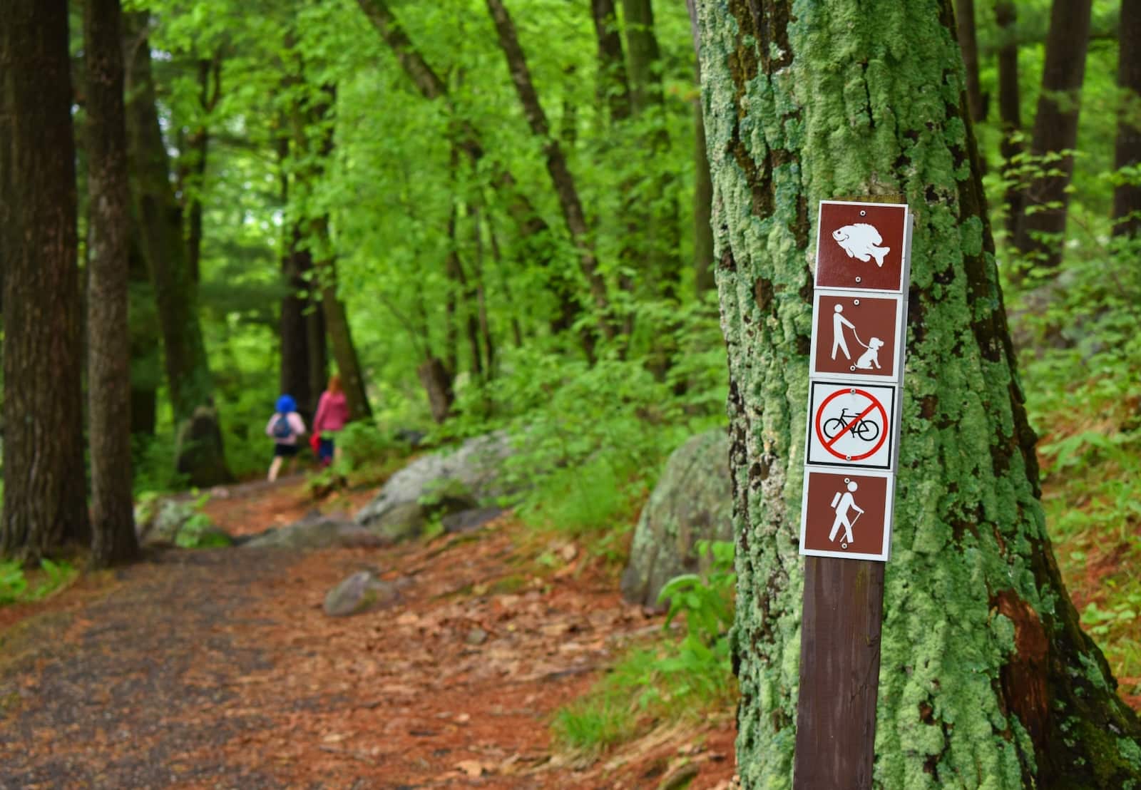 Couple walking through the woods near one of the best Wisconsin cabin rentals in the area.