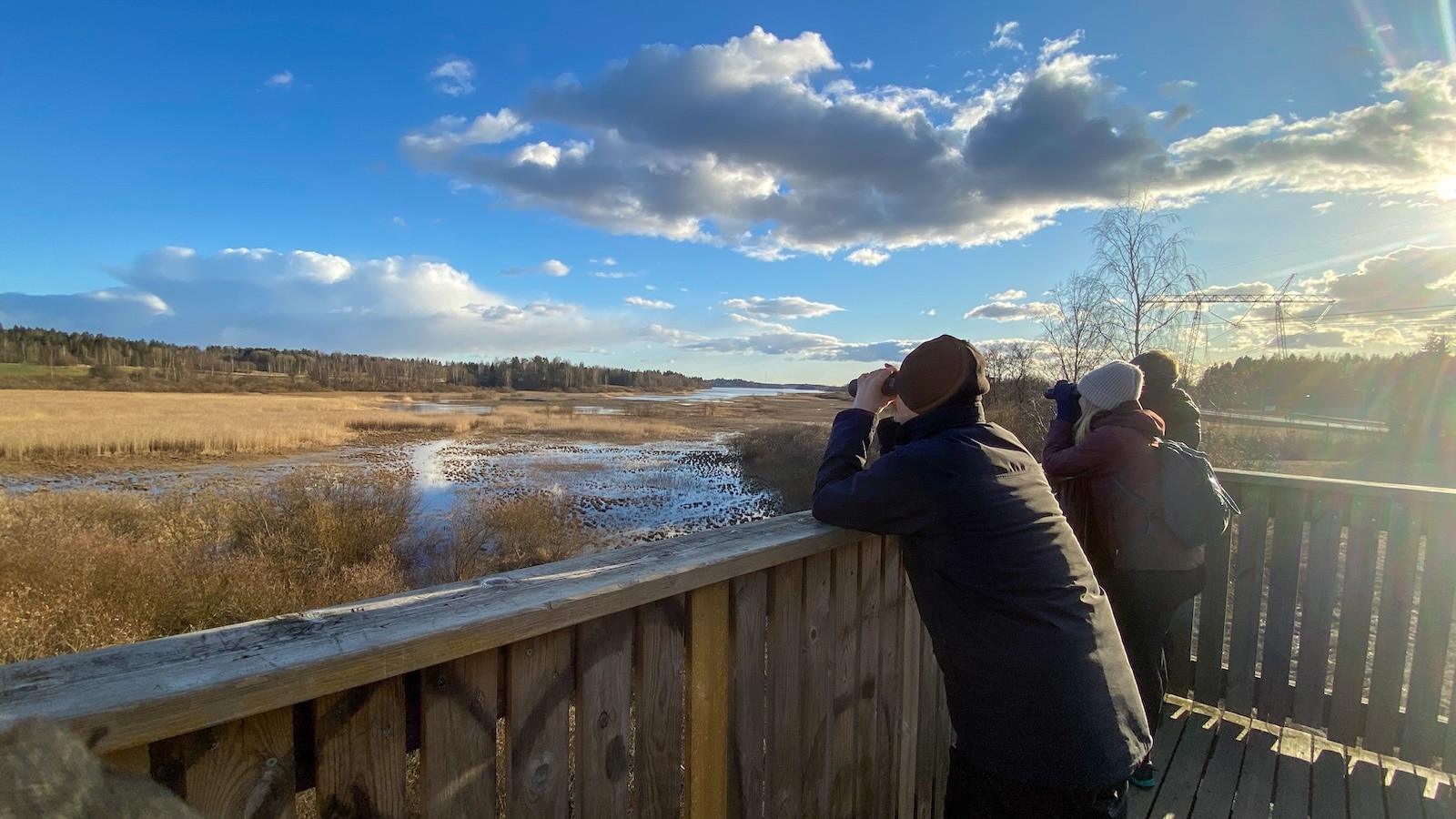 People watching the Sandhill Crane Migration and other spring bird migrations at these birding hotspots in the Midwest
