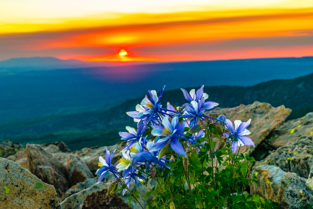 Sunset over Durango Colorado. Best time to visit Durango is anytime!