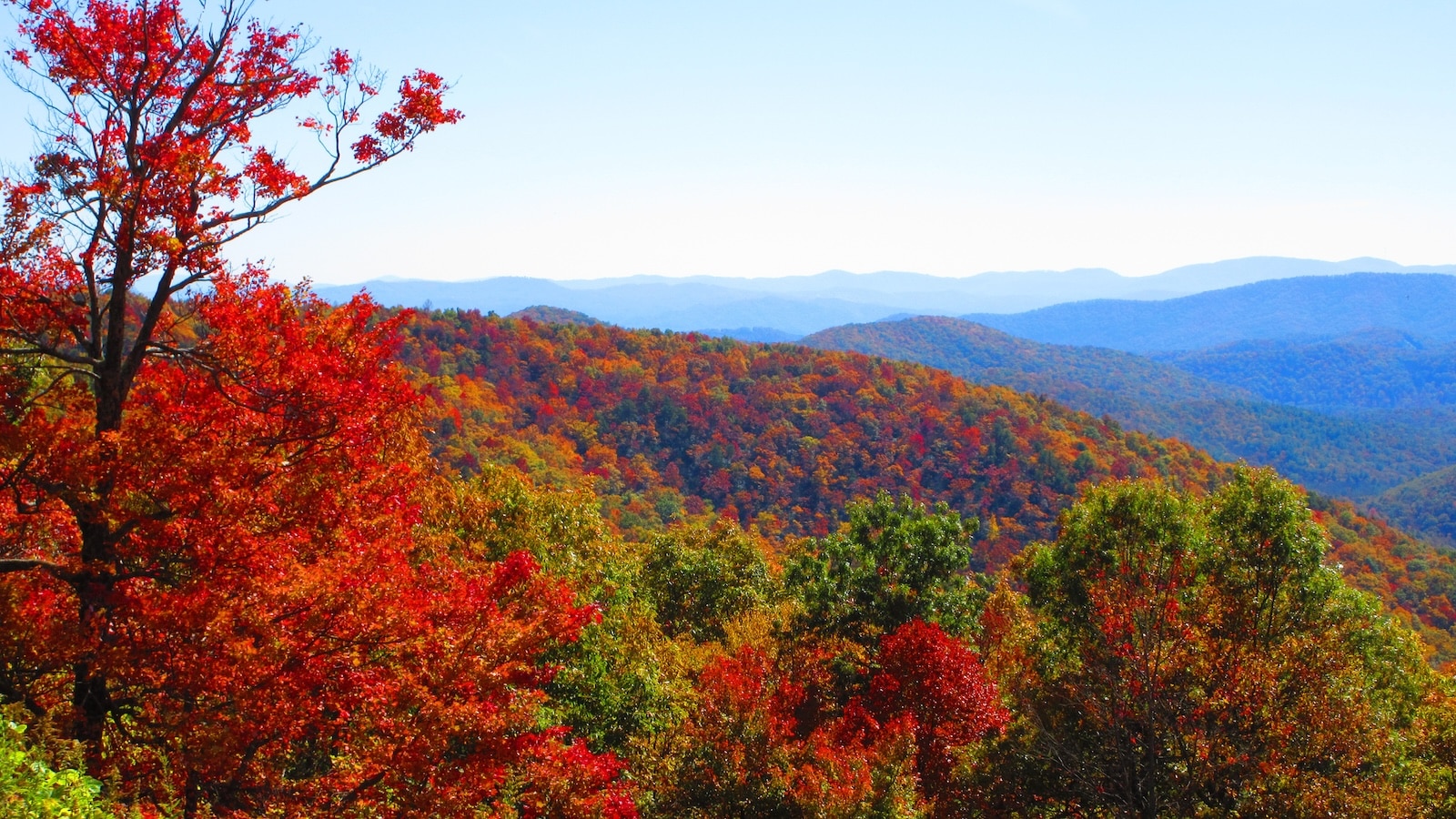 Fall is one of the best time to visit North Carolina. The foliage is dazzling with many different colors in the Blue Ridge Mountains. 