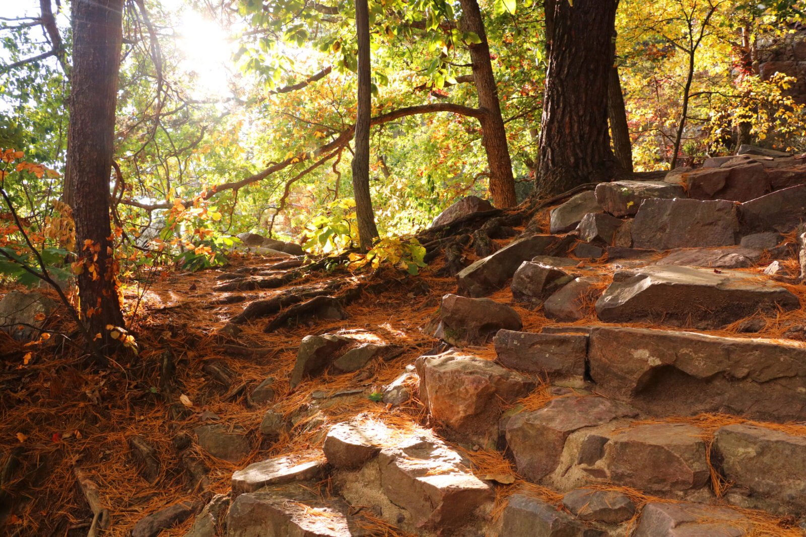 Autumn view with ice age hiking trail and stone stairs in sunlight during sunset hours. The fall colors might make autumn the best time to visit Devils Lake State Park, Baraboo area, WI