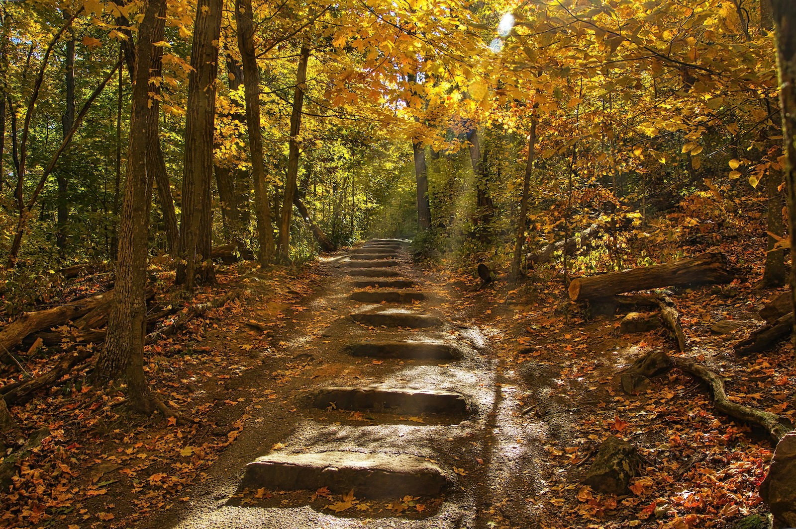 Autumn landscape featuring stone steps going uphill on a hiking trail passing through a colorful forest at Devil’s Lake State Park near Baraboo, Wisconsin.
