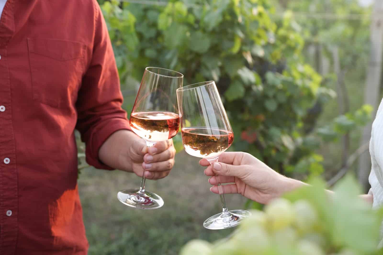 One of the best things to do in the Finger Lakes NY is wine tastings, a couple here is toasting in a vineyard 