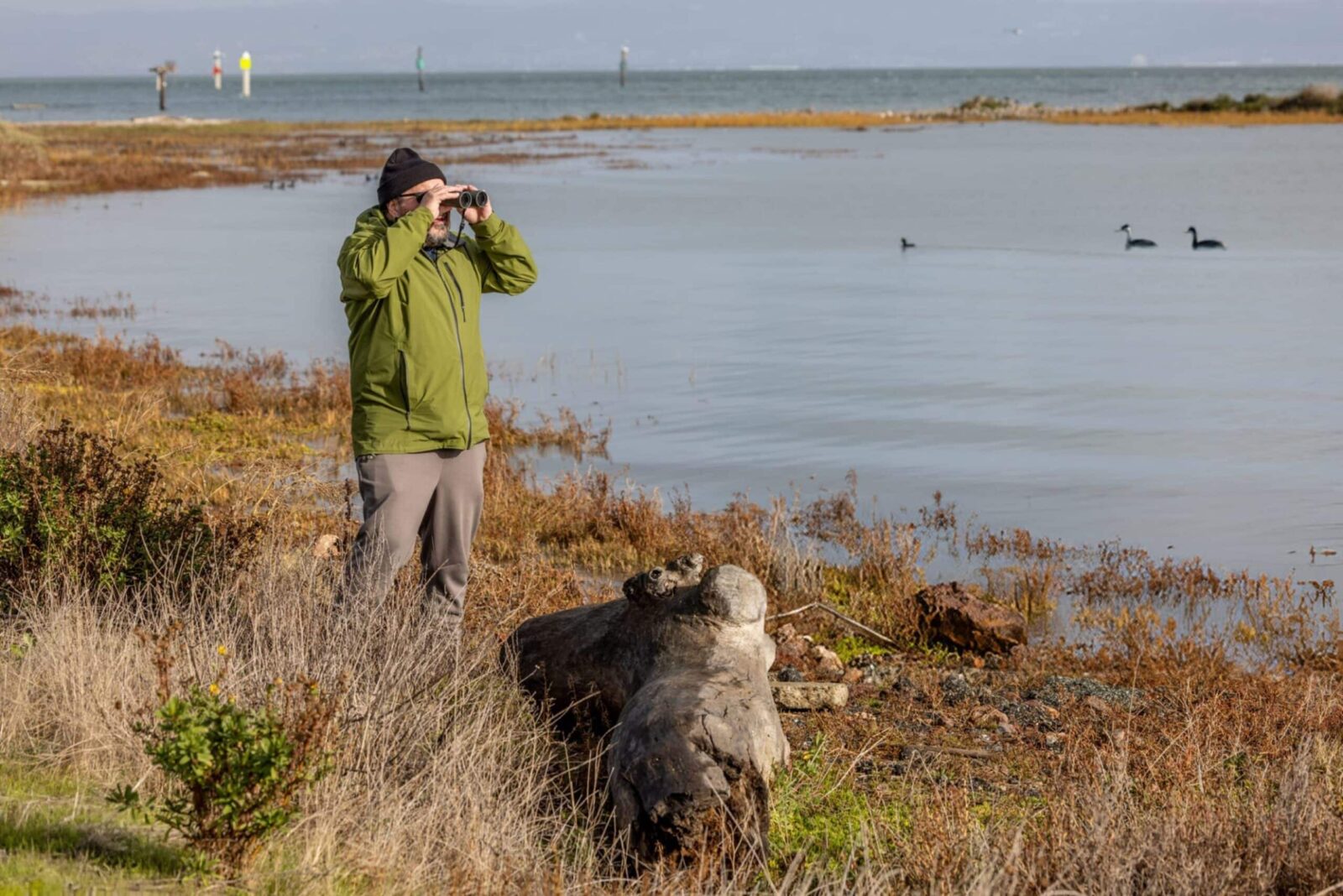 Man birding at Arcata Marsh