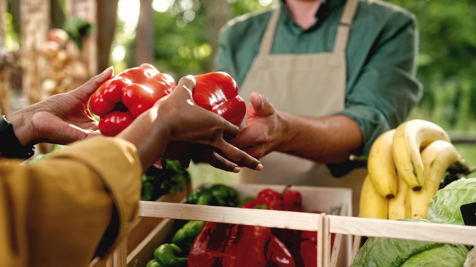 The Exeter Farmers Market vendors sell fresh produce among other things like grass-fed beef, maple products, and hydroponic greens. 