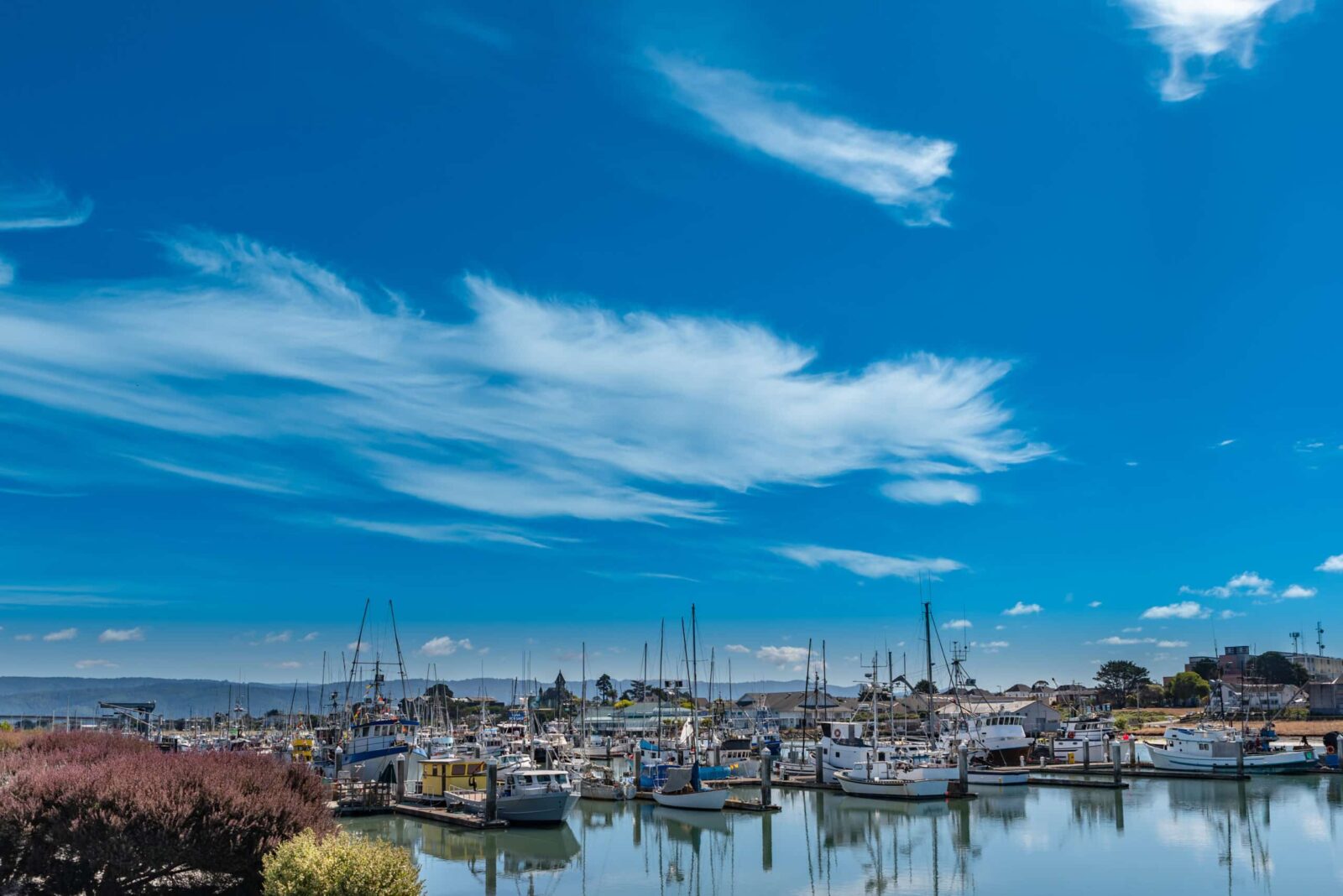 Woodley Island Marina, one of the best things to do in Humboldt County.