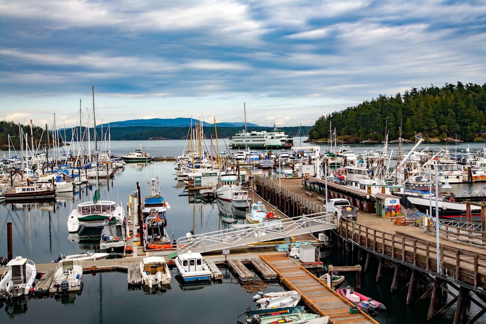 Take the San Juan Island Ferry to get to Friday Harbor. 