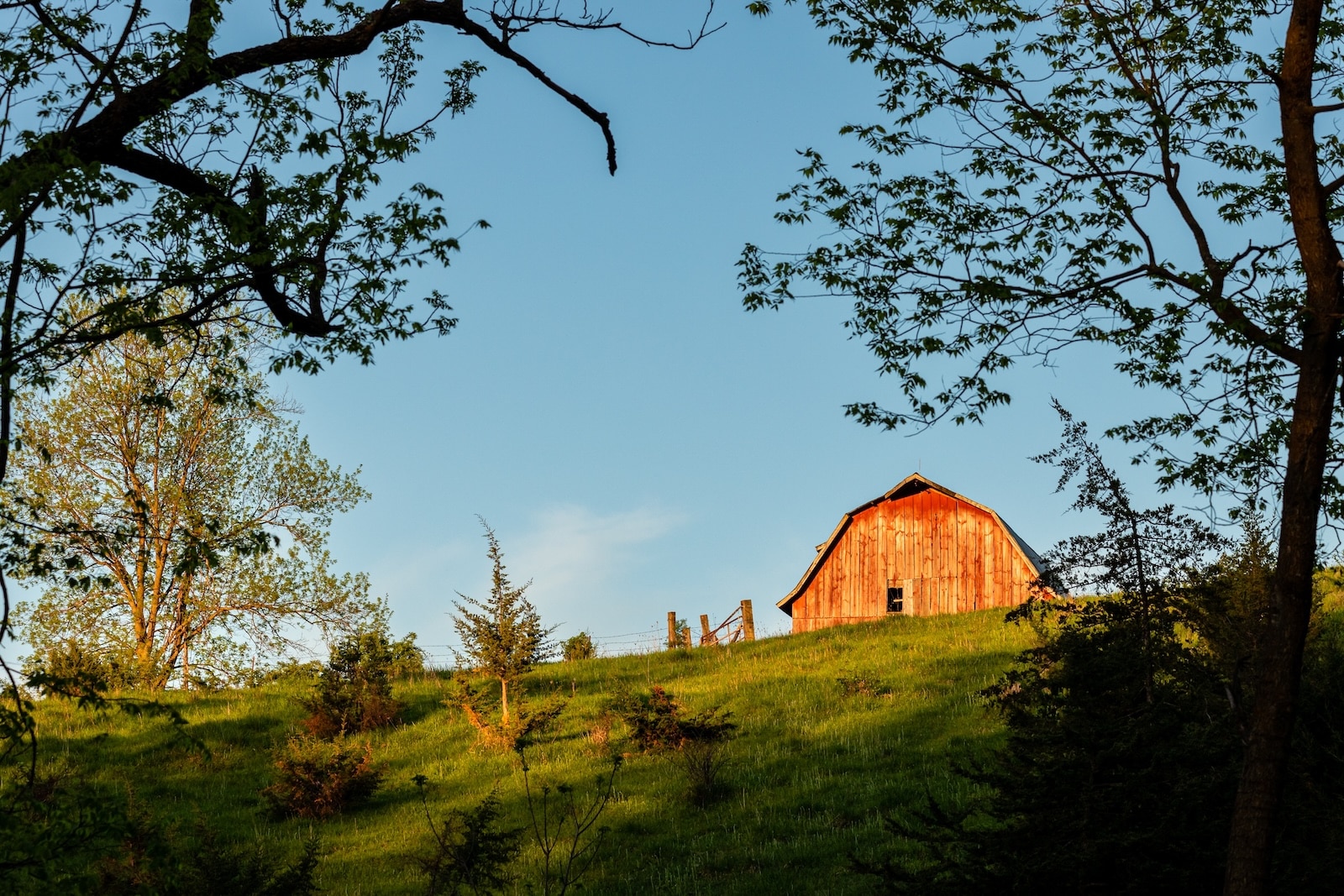 An old barn on a hill shines in the morning sun in southern Wisconsin, heading to a farm is one of the best things to do in Spring Green WI