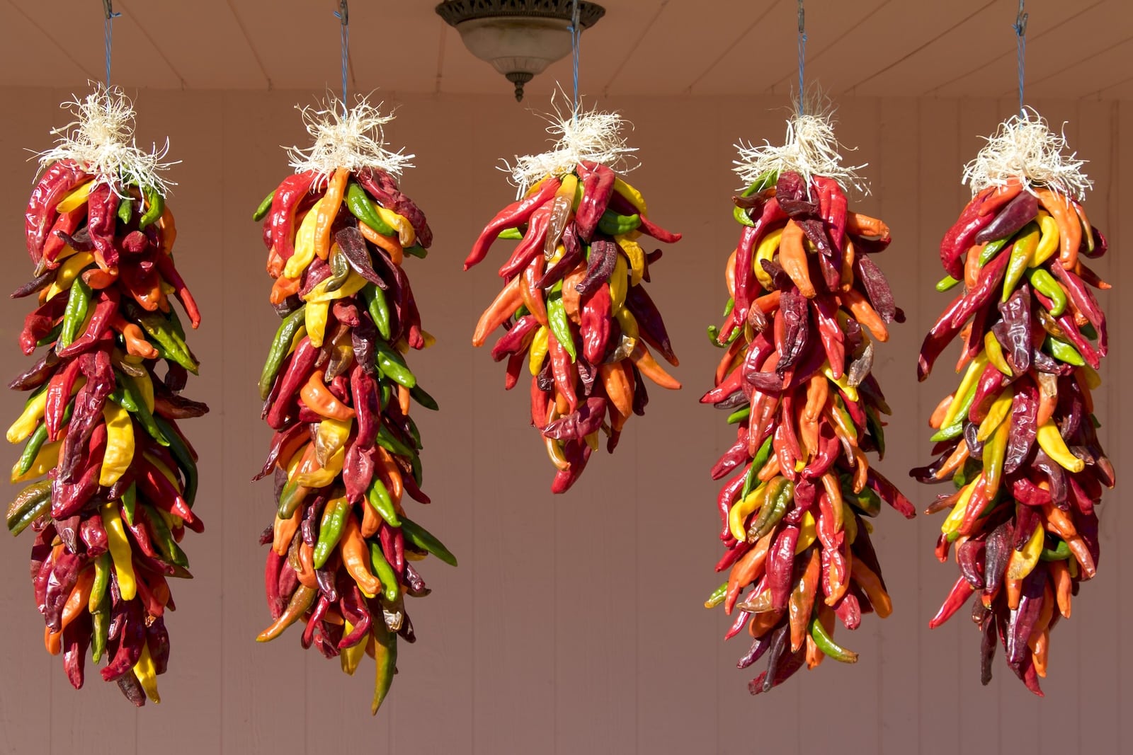 New Mexican food is distinct because of the use of red and green Hatch chiles in the recipes. These are ristras of drying Hatch chiles. 
