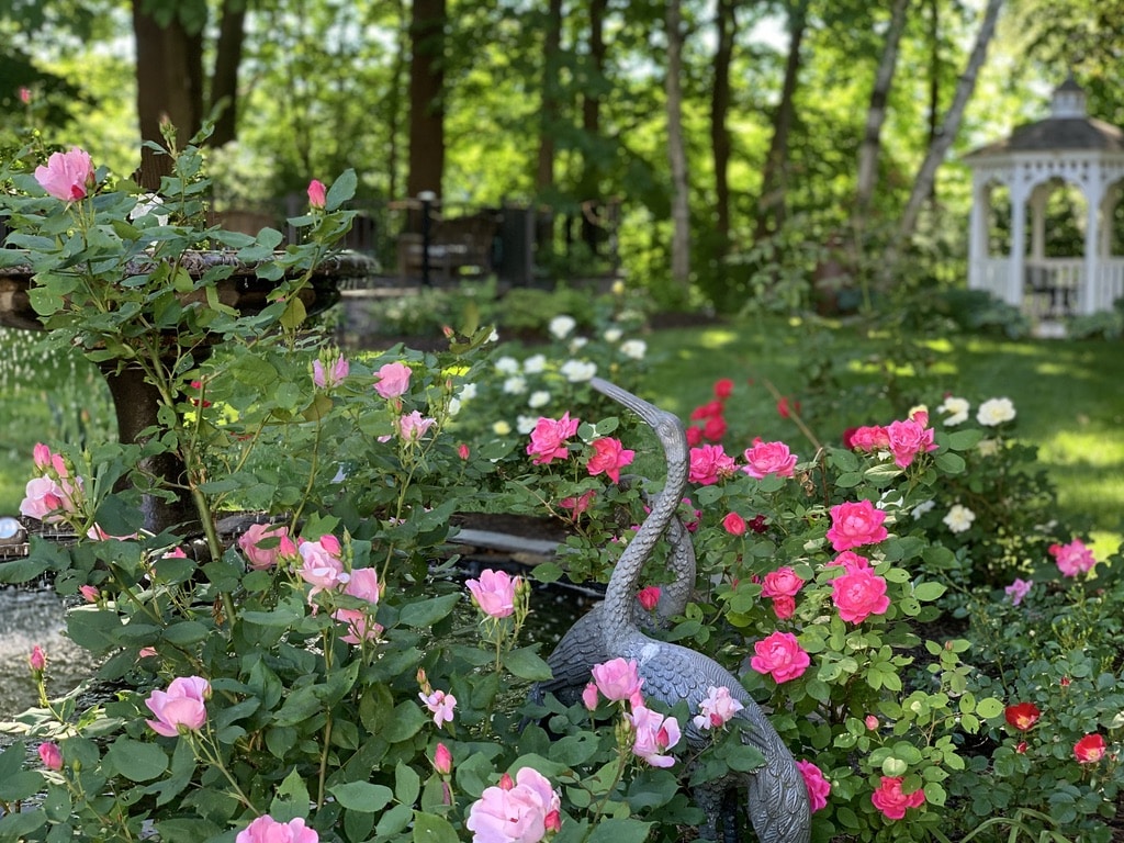 Relax in our award winning gardens after time on the Mount Snow Golf Course.