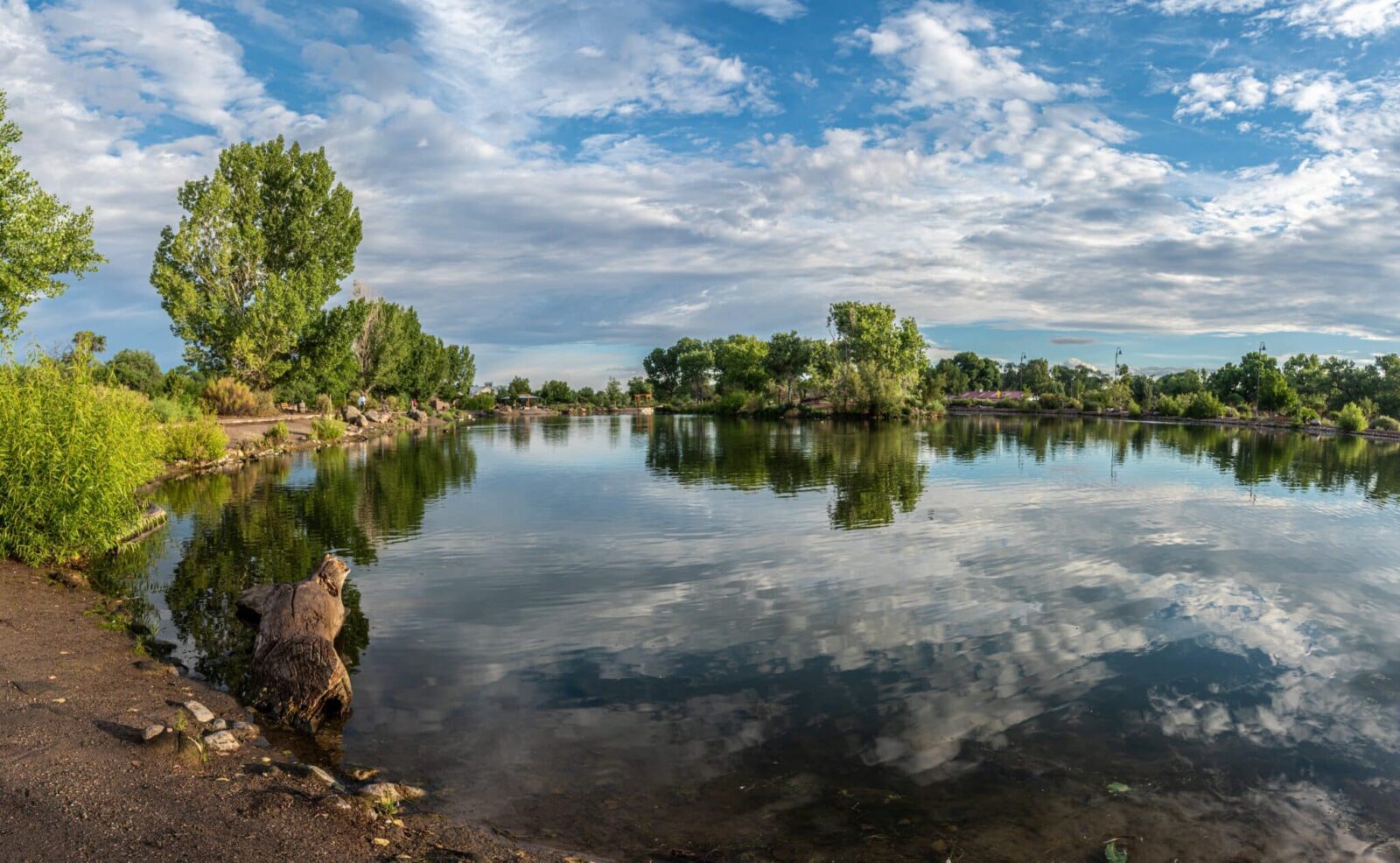 Tingley Beach in the Bosque on the Rio Grande in Albuquerque.
