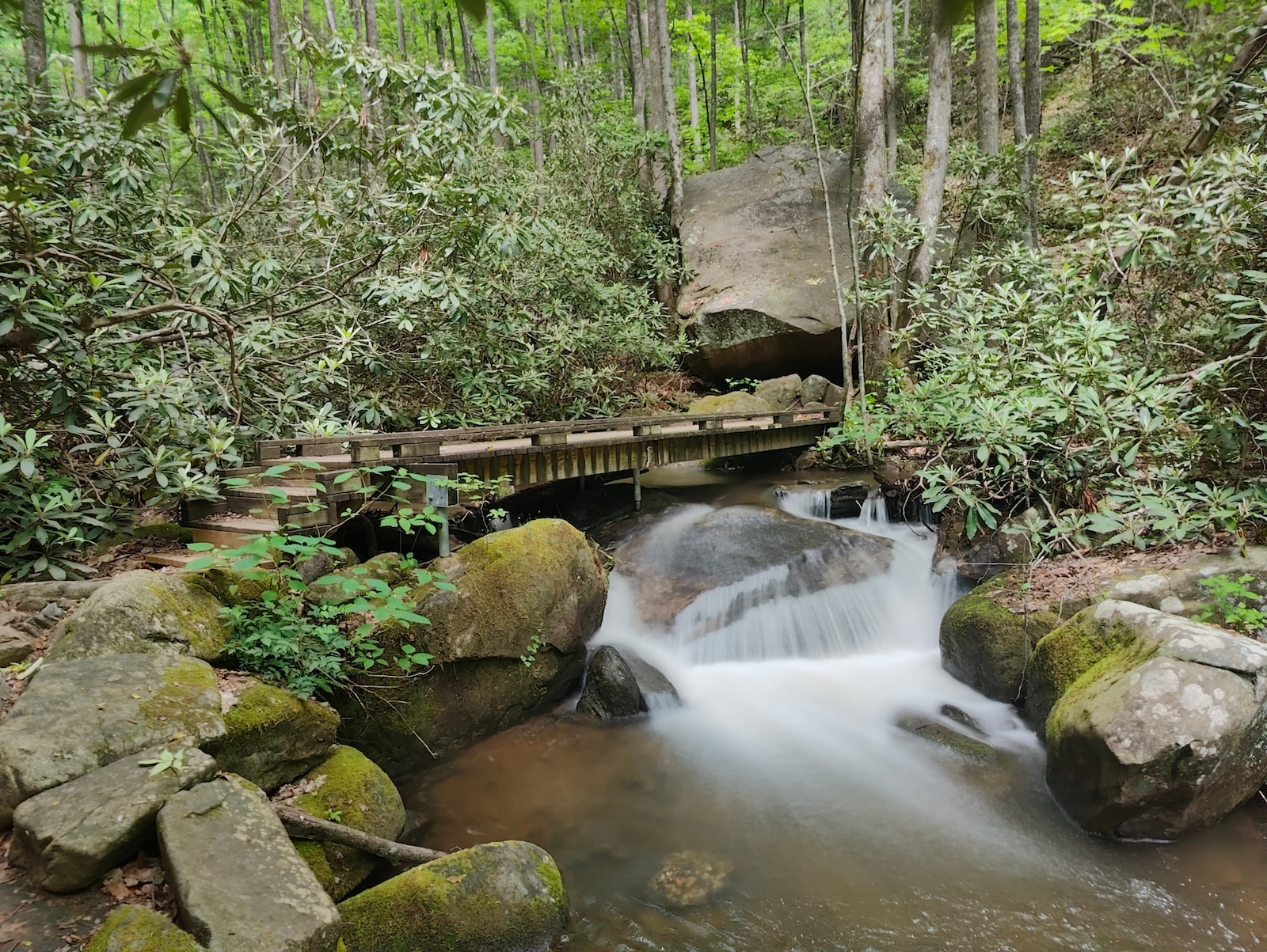 The rewarding hike to Rainbow Falls in Jones Gap State Park, SC leads to one of the tallest waterfalls in the state. Here a wooden bridge takes you over a rushing creek.