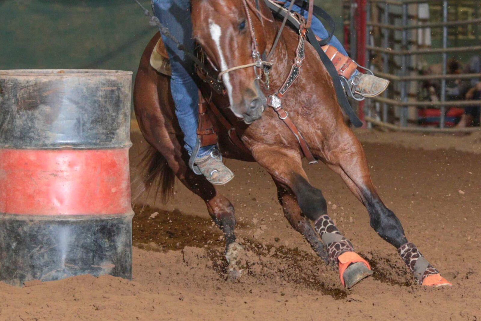 Close up of horse and rider racing around a barrel during event at the Rodeo in Durango