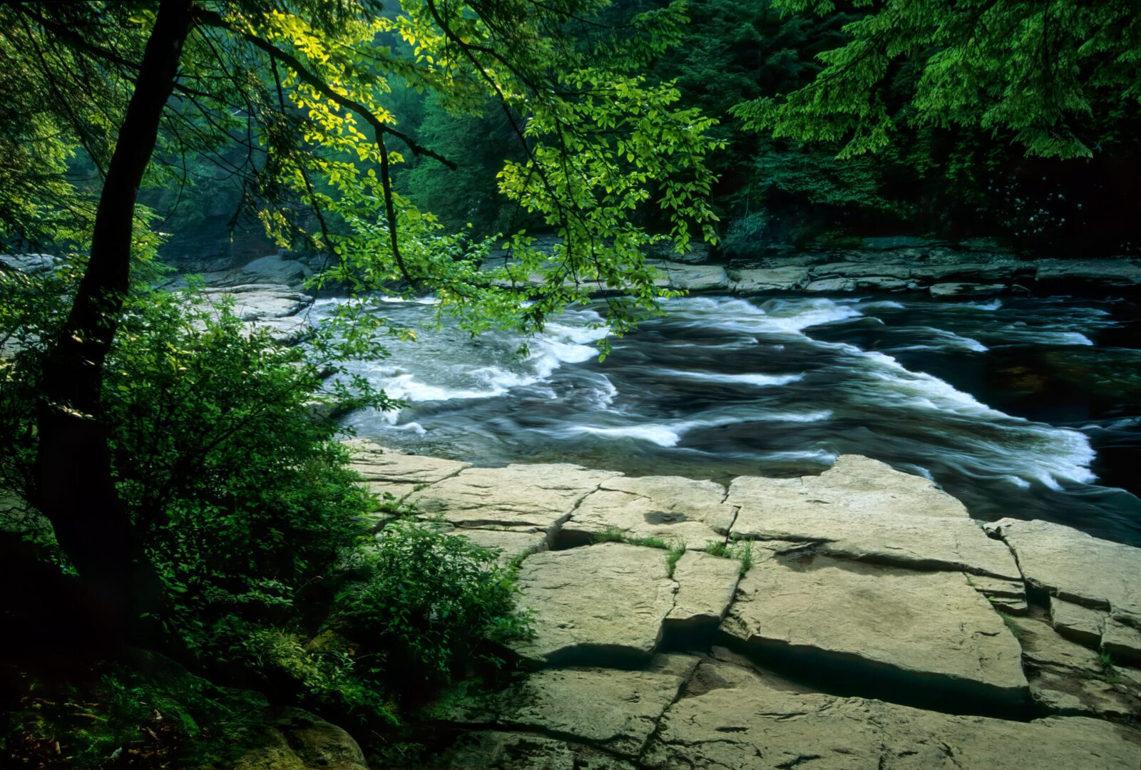 Rapids on the Youghiogheny River, just above Swallow Falls in Swallow Falls State Park in western Maryland, U.S.A. Swallow Falls Canyon Trail