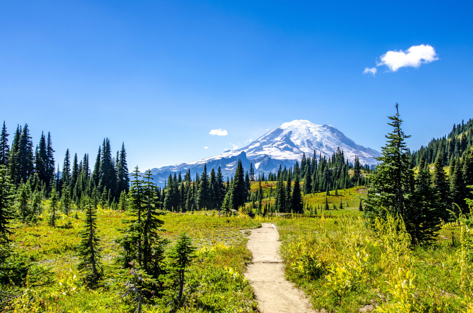 From hiking trails in the Indian Heaven Wilderness, hikers are treated to views of Mt. Rainier.