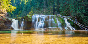 Lower Lewis Falls in the Gifford Pinchot National Forest