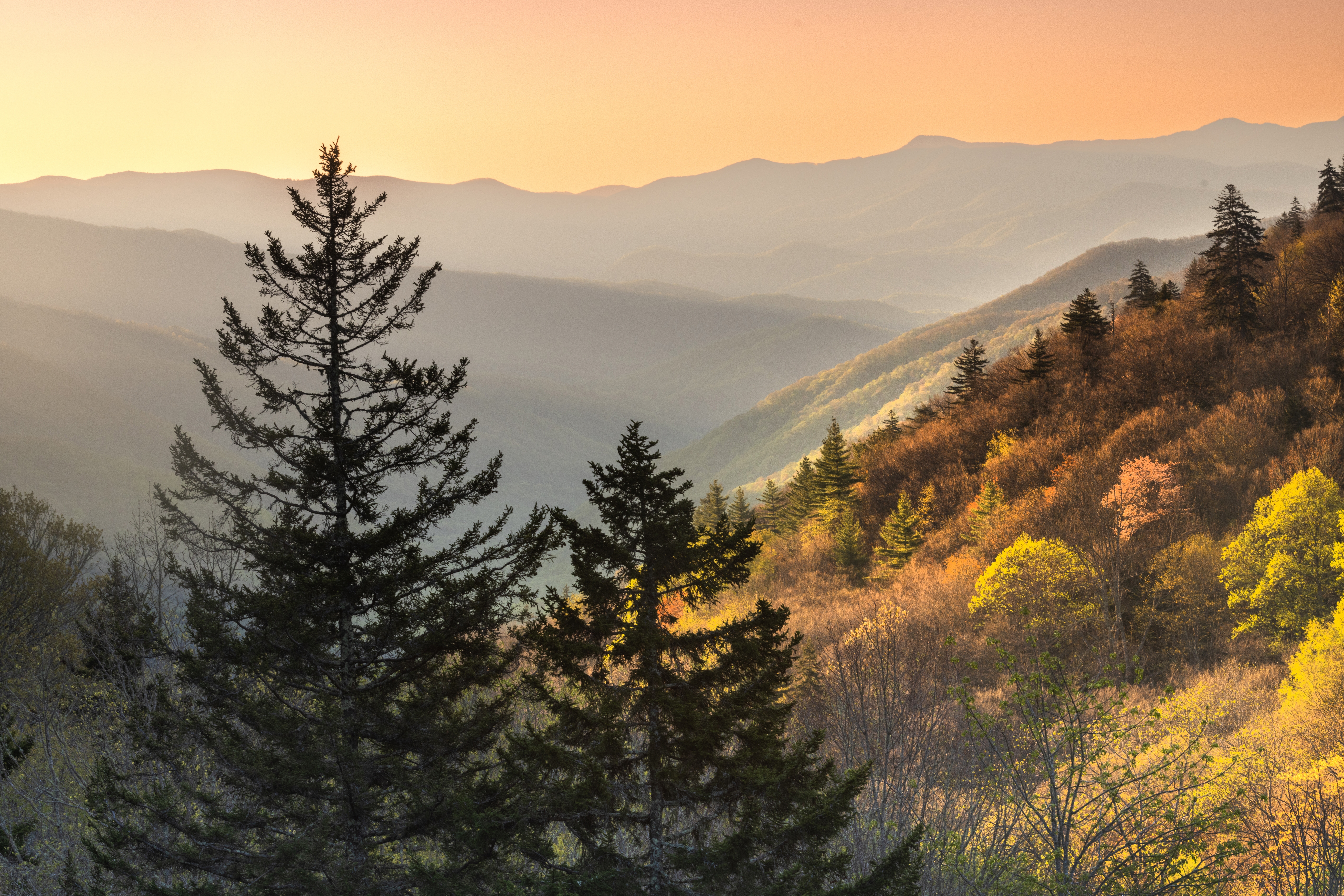 On the Mountains-to-Sea Trail, you'll find beautiful sunrises over the Blue Ridge Mountains framed by evergreens. 