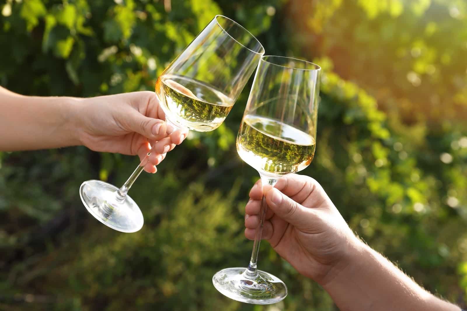 Aside from San Juan Island brewing, there are some lovely places for wine tasting on the San Juan Islands 