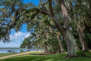 Washington Oaks Garden State Park, one of the best things to do in Palm Coast Florida