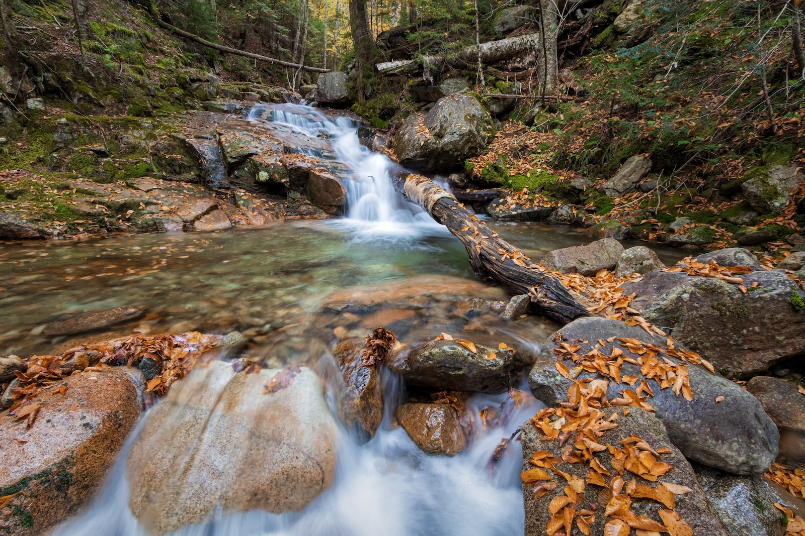 When you explore the Falling Waters Trail in Franconia Notch State Park, you'll find scenic waterfalls against a natural backdrop with clear waters and large stones.