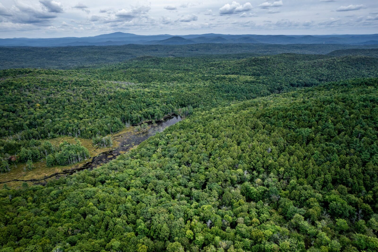 Aerial View of Pisgah State Park- green trees and lake, in late summer