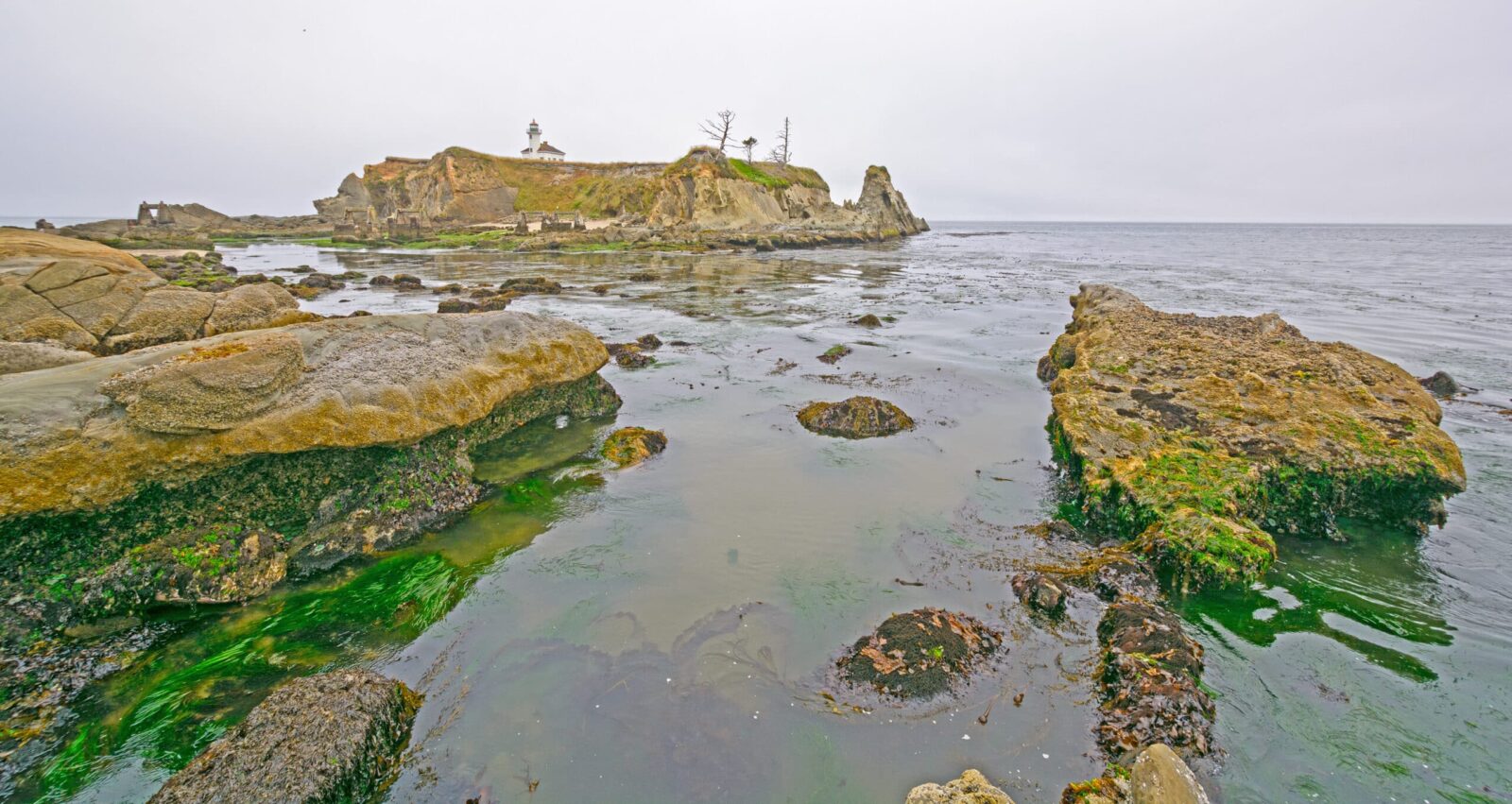 Cloudy Coastal Scene at Low Tide. Cape Arago State Park on the Coast of Oregon. Lighthouse in the background, perched high on rock.