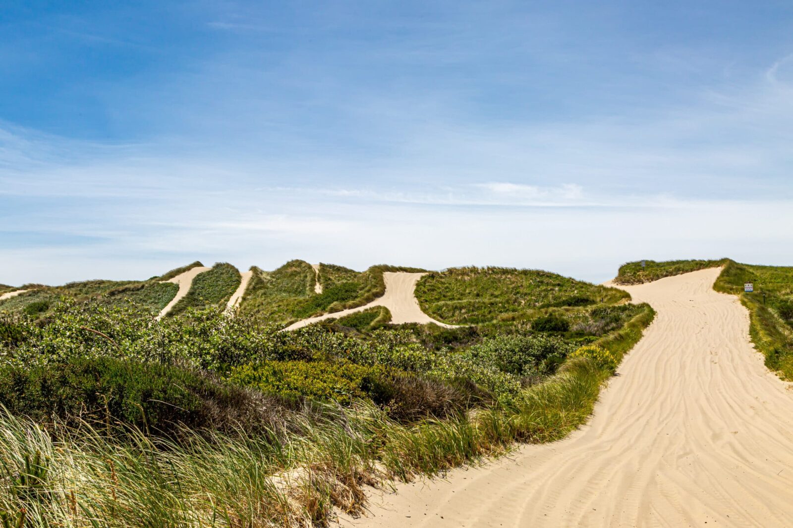 Pathways through sand at Oregon Dunes National Recreation Area, one of the best things to do in Coos Bay.