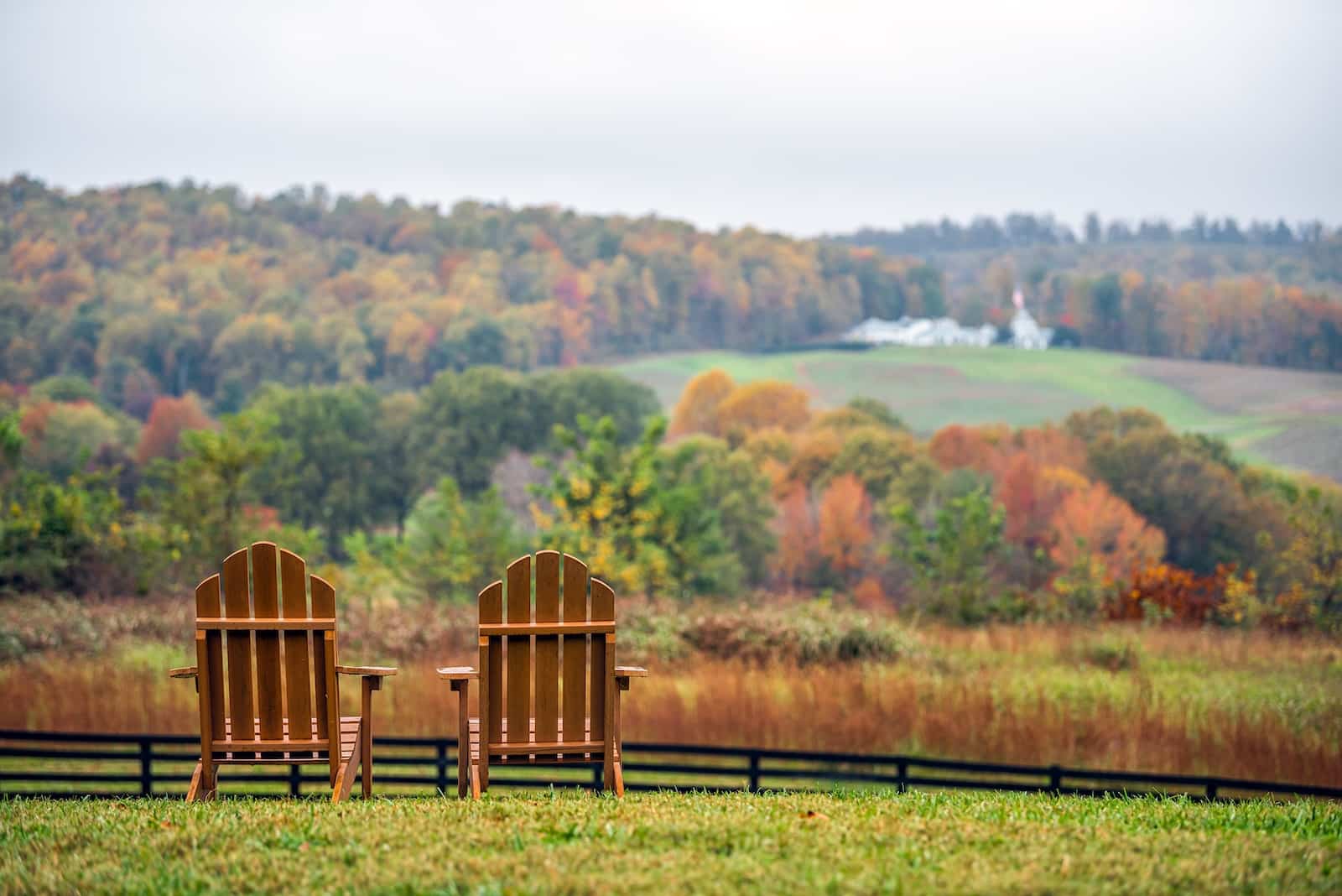 Two Adirondack chairs overlooking fall foliage at a vineyard in Charlottesville, one of the things you can find during fall in Virginia. 