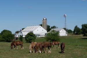 Farm with horses, white barn, windmill in Amish Country Pennsylvania