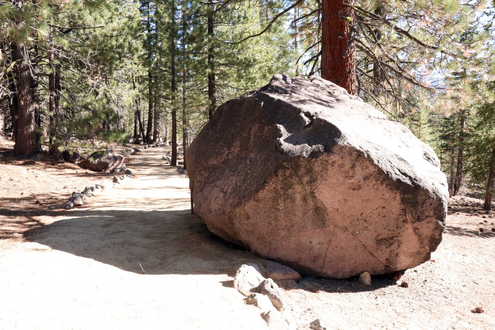 Hot Rock on the trail in the Devastated Area of Lassen